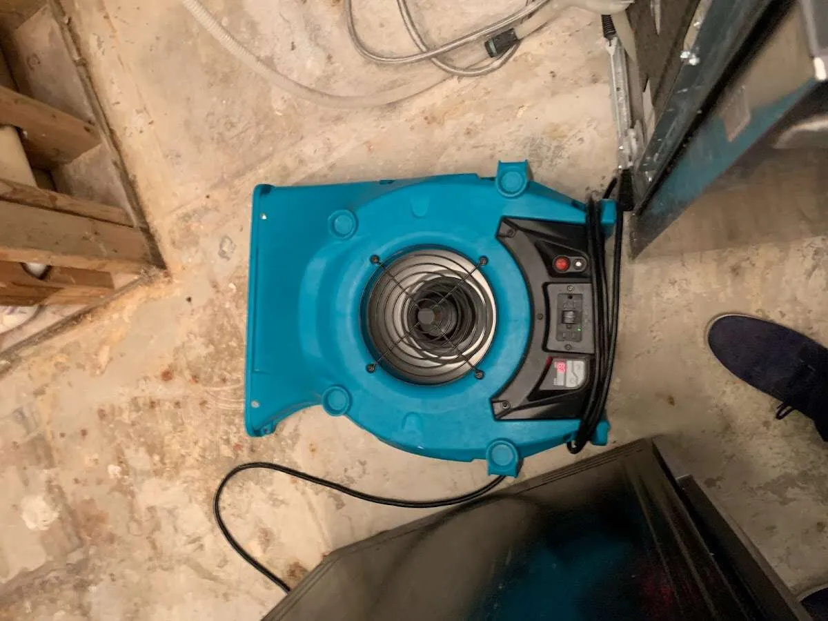 Air mover drying equipment for Mold Remediation & Removal in Ladson