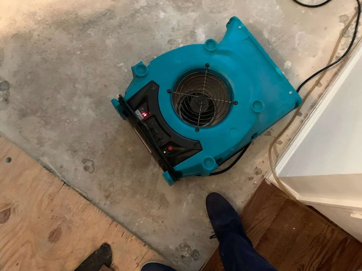 Air mover drying subfloor during Commercial Water Damage Restoration in Ladson